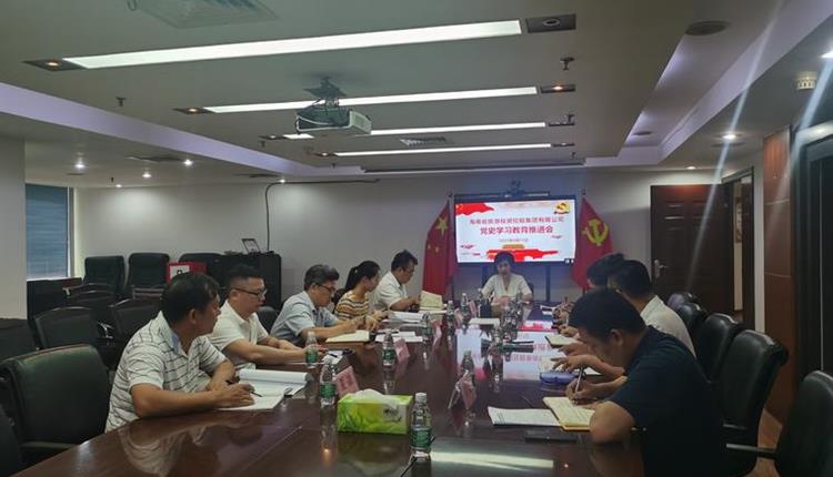 海南省旅控召开党史学习教育推进会