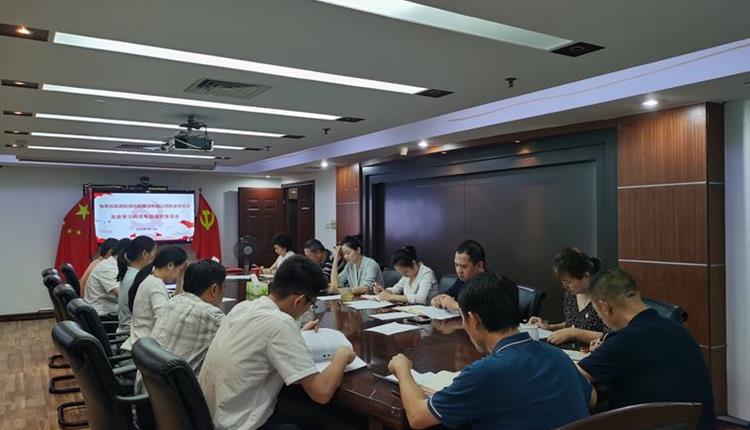海南省旅控机关党支部召开党史学习教育专题组织生活会
